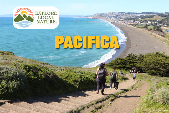 Explore Local Nature - Pacifica! Explore Local Nature - Pacifica!